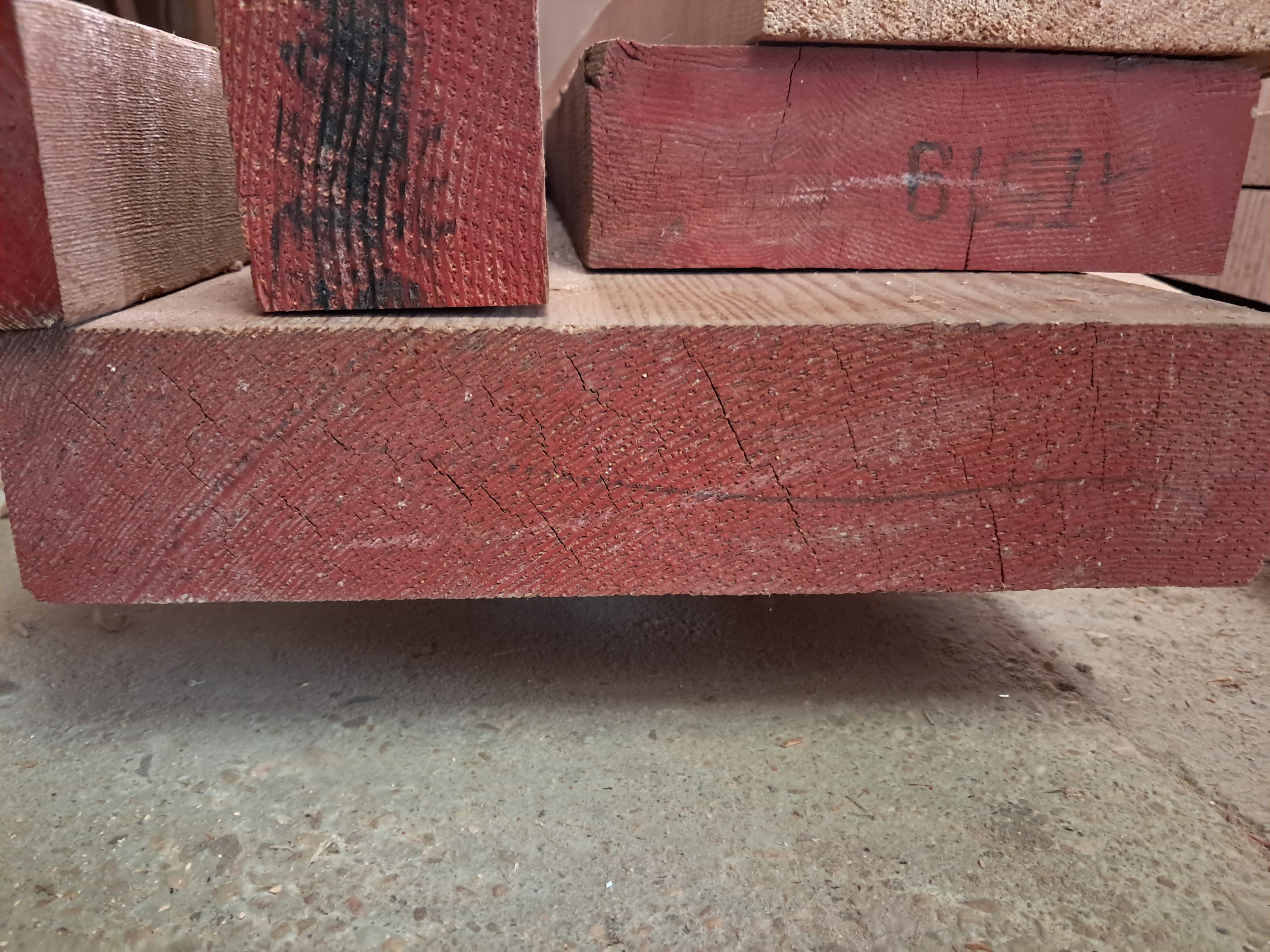 Oregon pine cross section