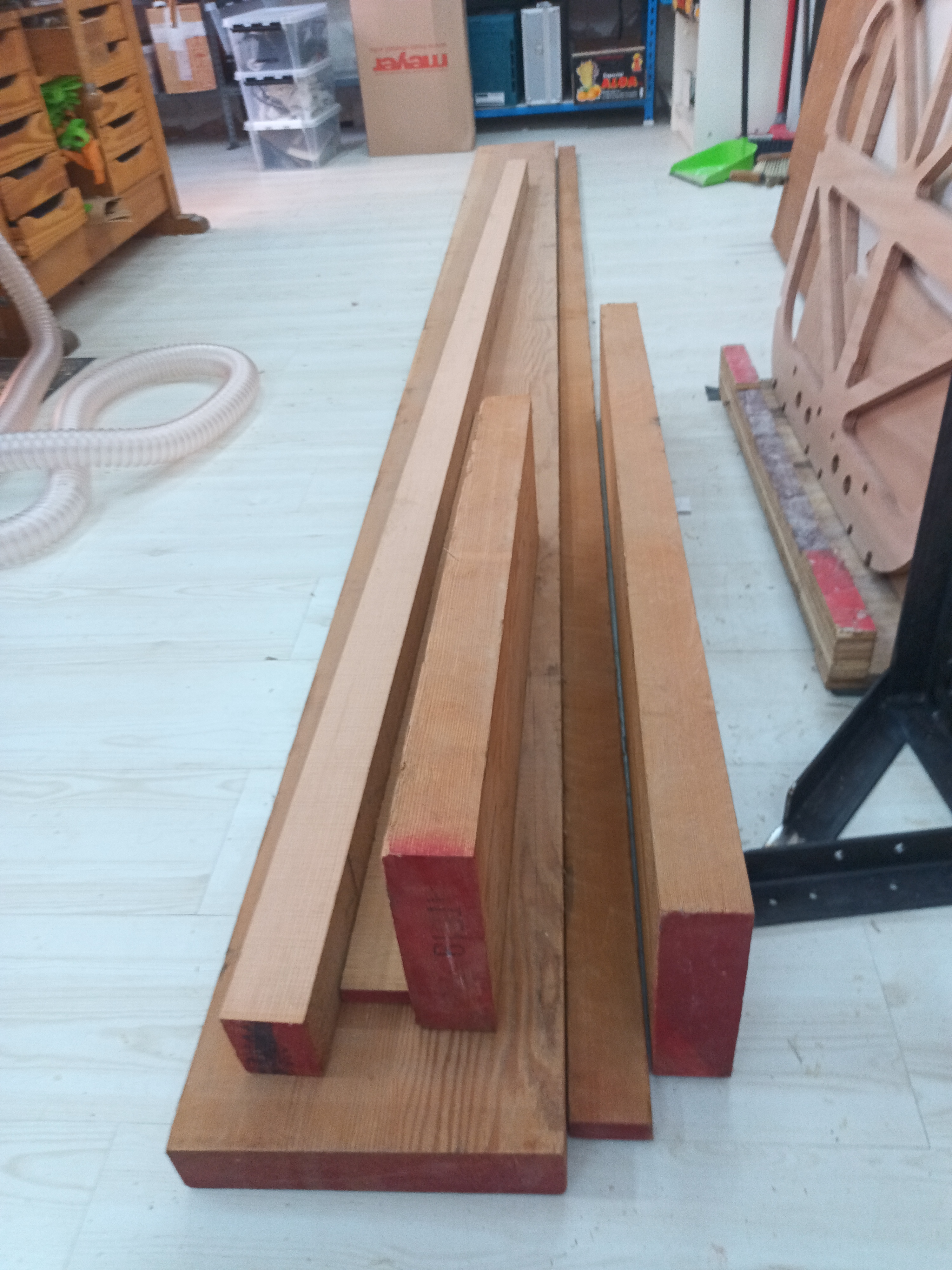 Oregon pine cross section