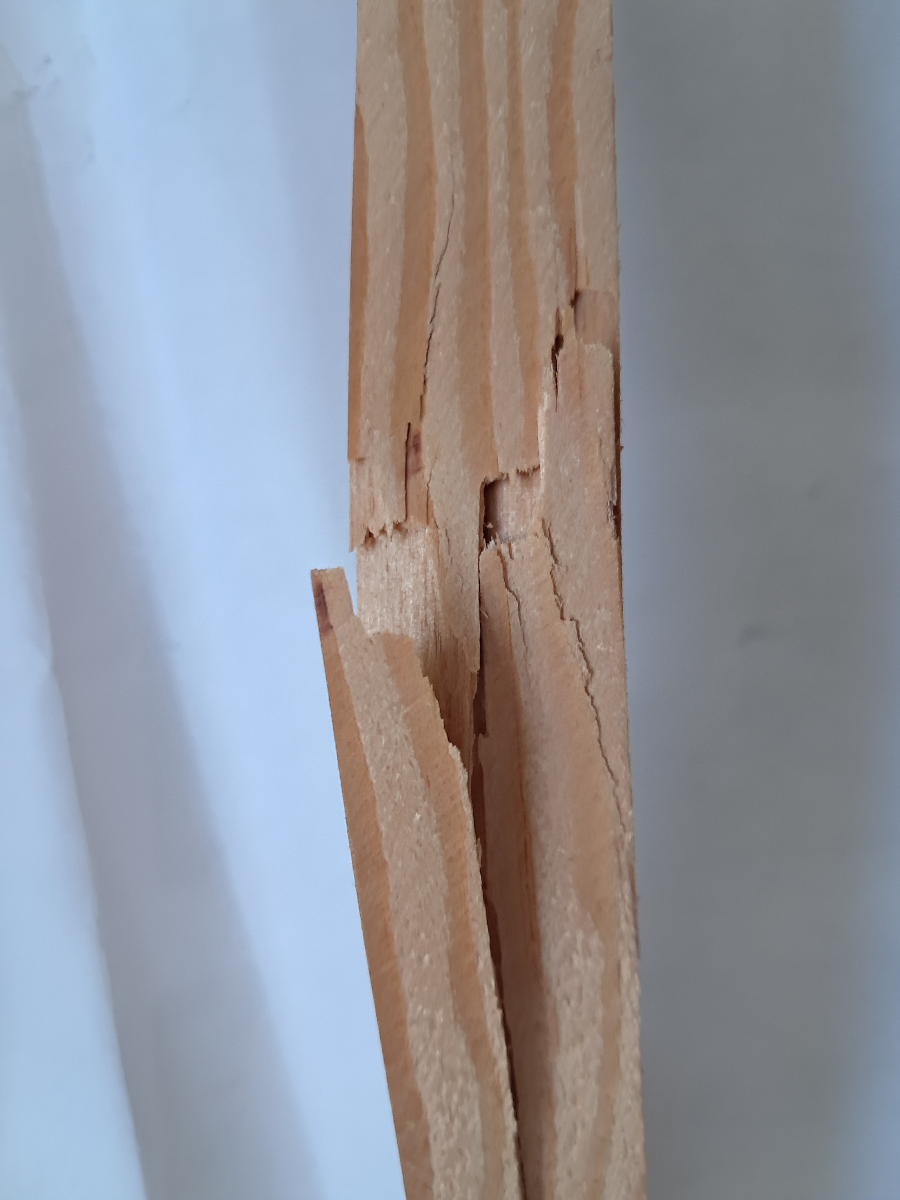 B1 oben, Bruch bei 687 N (70 kg)