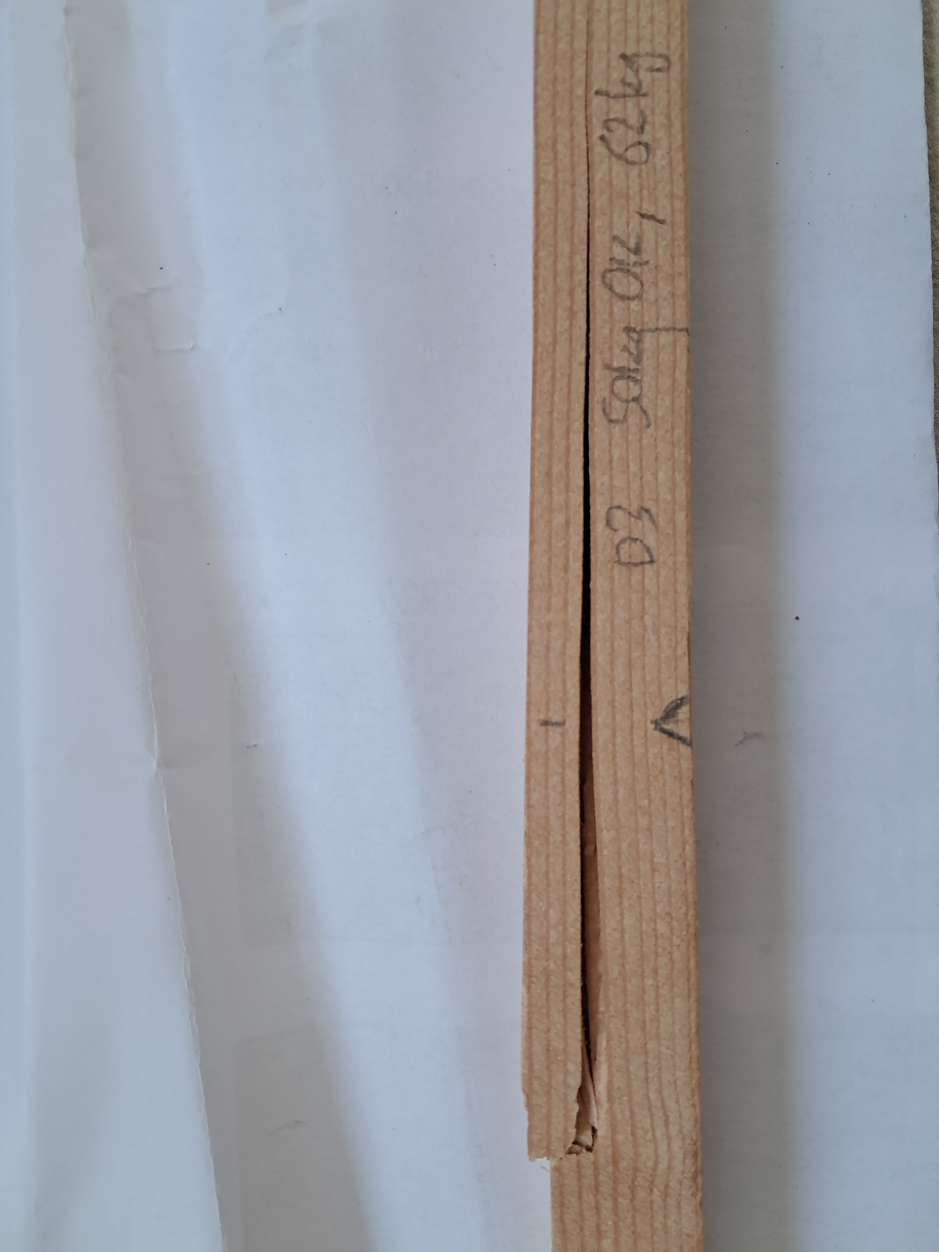 D3 Seite, Bruch bei 608 N (62 kg)