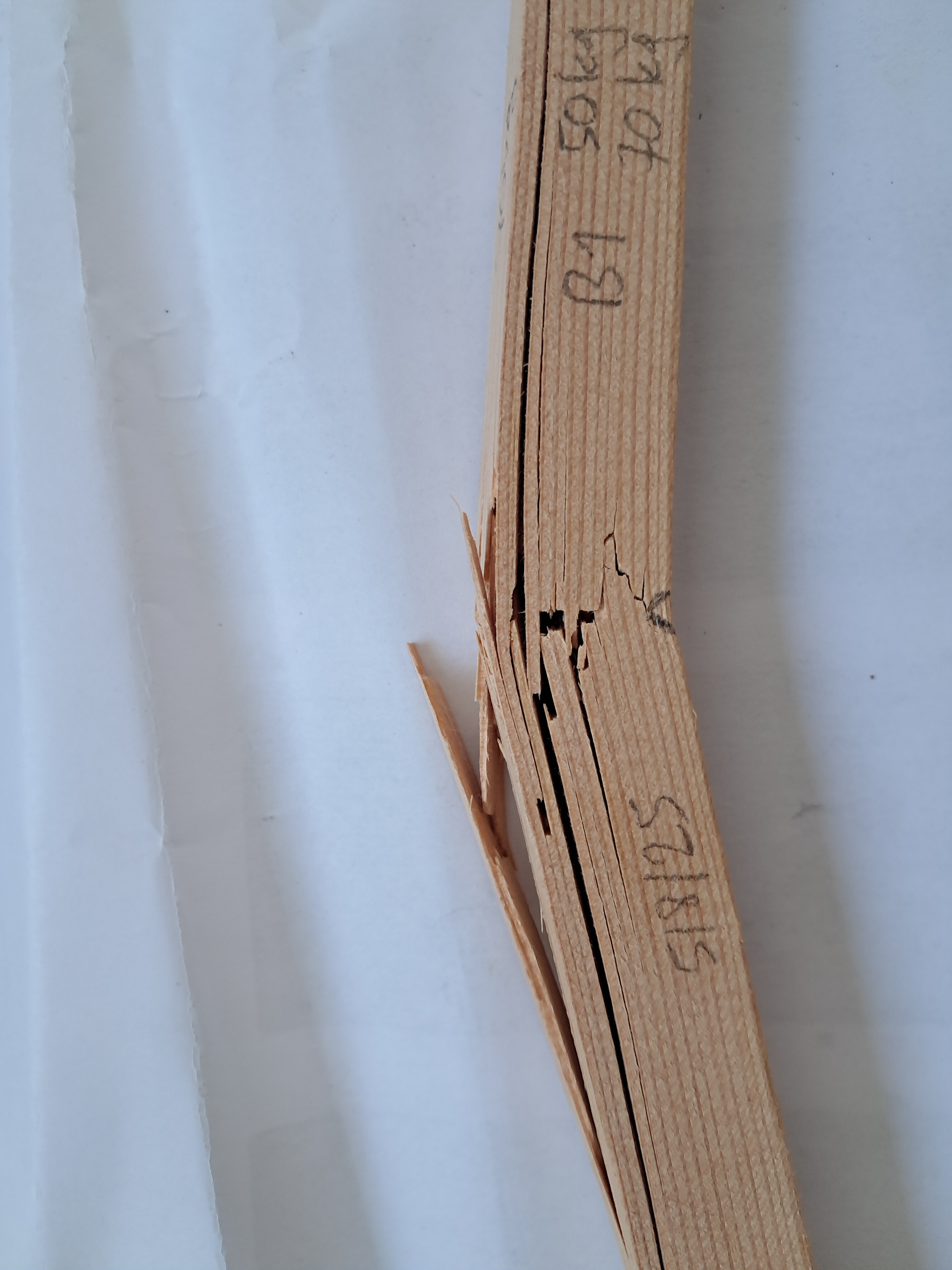 B1 côté, rupture à 687 N (70 kg)