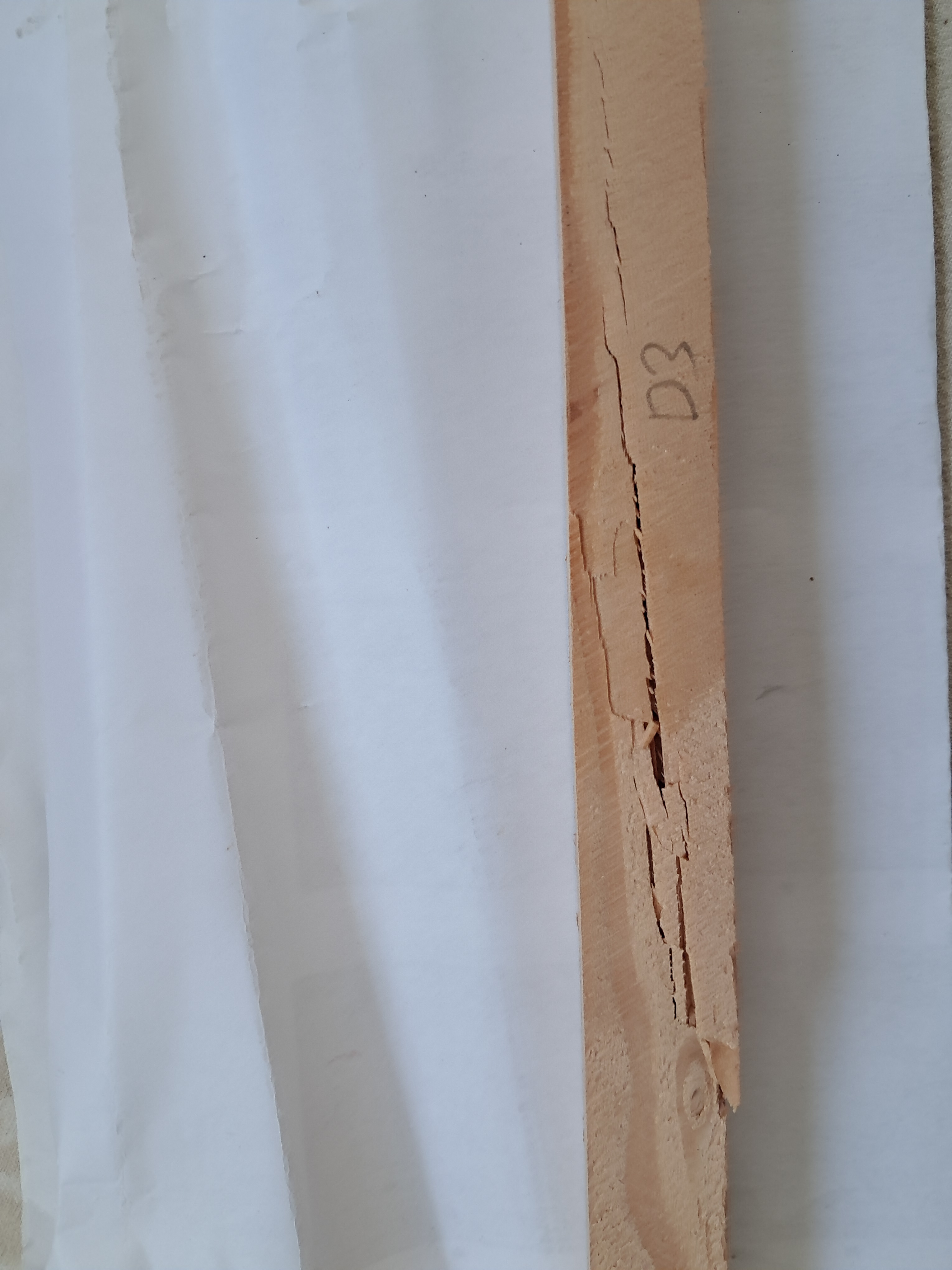 D3 dessus, rupture à 608 N (62 kg)