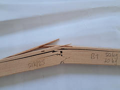 B1 side, failed at 687 N (70 kg)