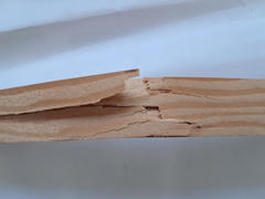 B1 top, failed at 687 N (70 kg)